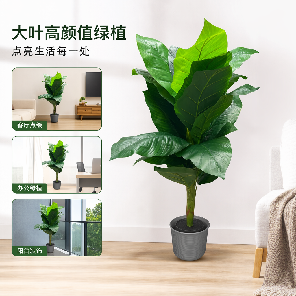 绿色大叶植物盆栽室内观叶绿植客厅阳台装饰花卉