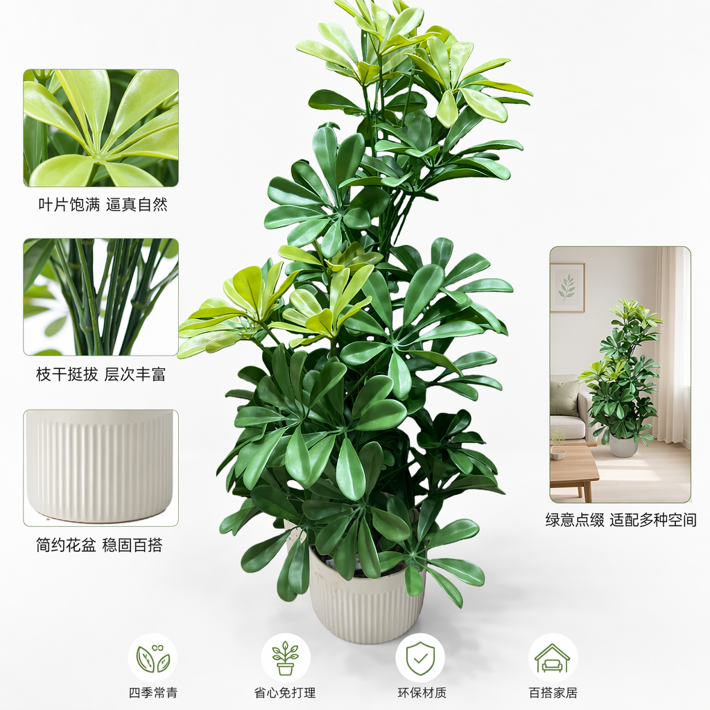 绿色掌状叶植物盆栽 室内观叶绿植 耐阴好养活