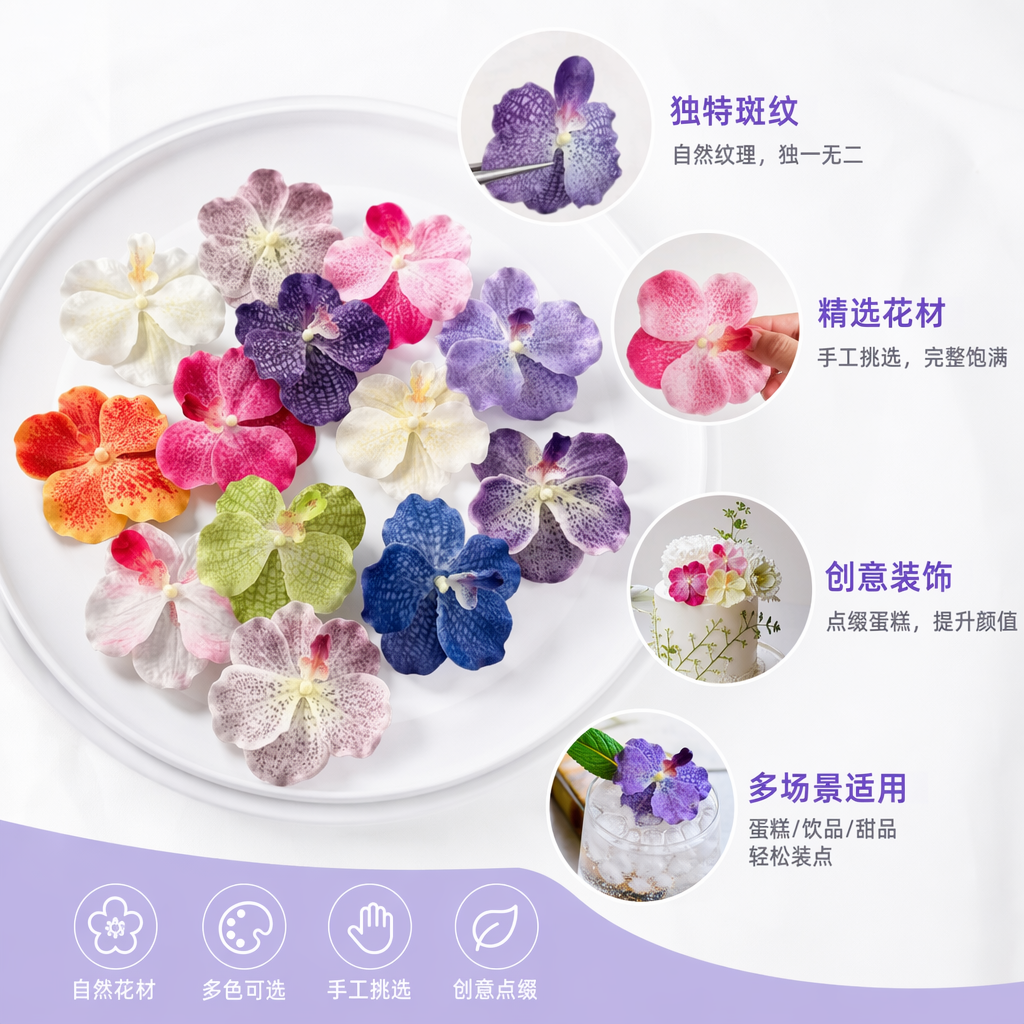彩色兰花装饰花仿真干花家居摆件客厅卧室阳台装饰