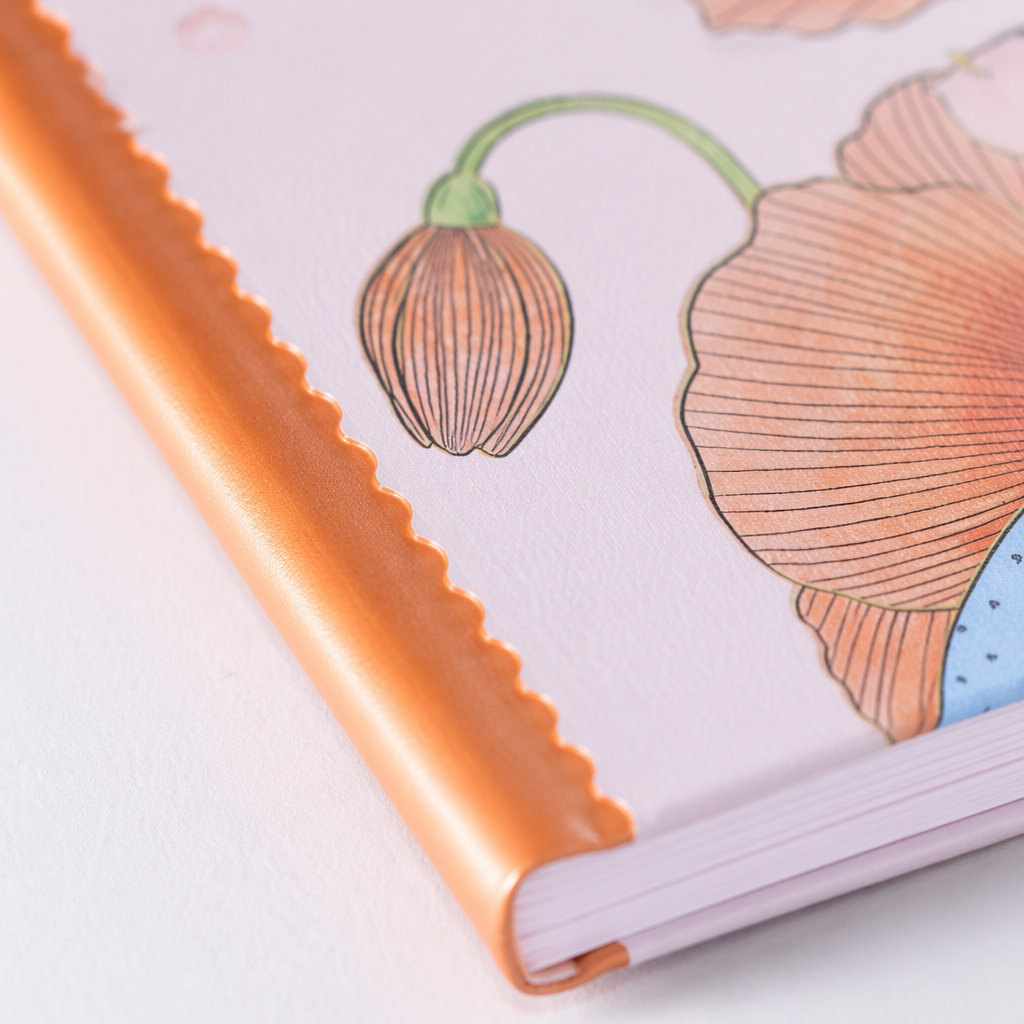 Pink cover, orange spine, girl, orange flower illustration notebook, white keyboard, Daisy and butterfly decoration Application Scenario