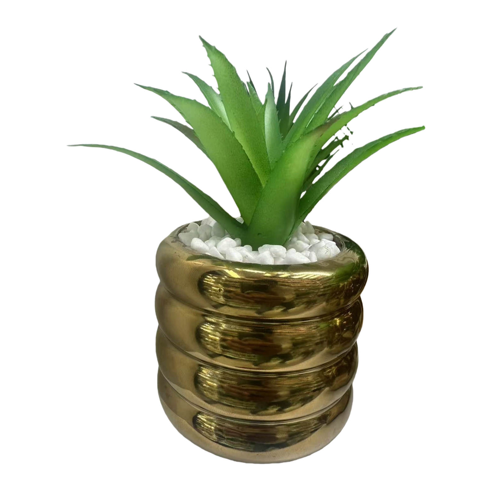 金色螺旋花盆+绿色多肉植物白底实物图