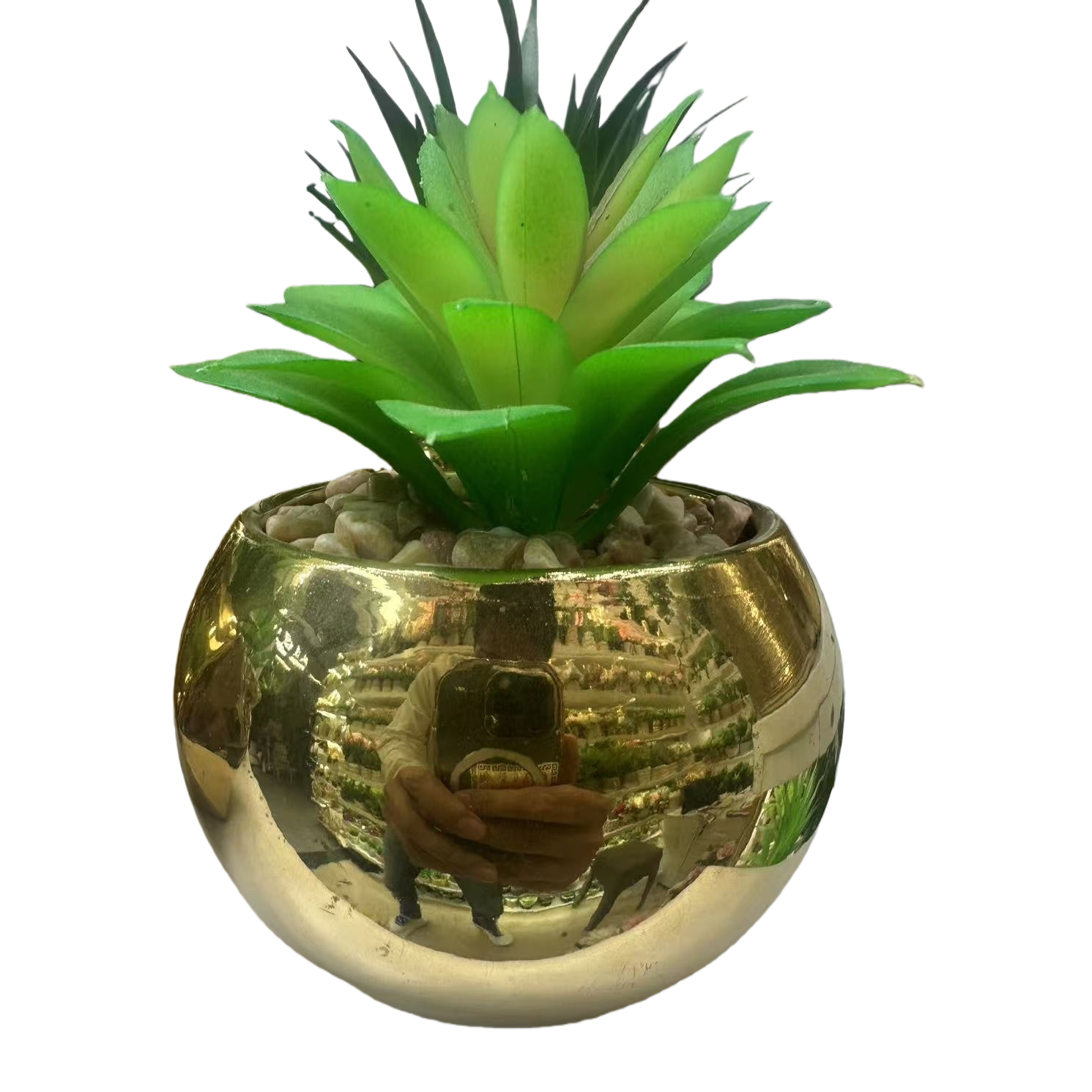 金色球形花盆+绿色多肉植物白底实物图