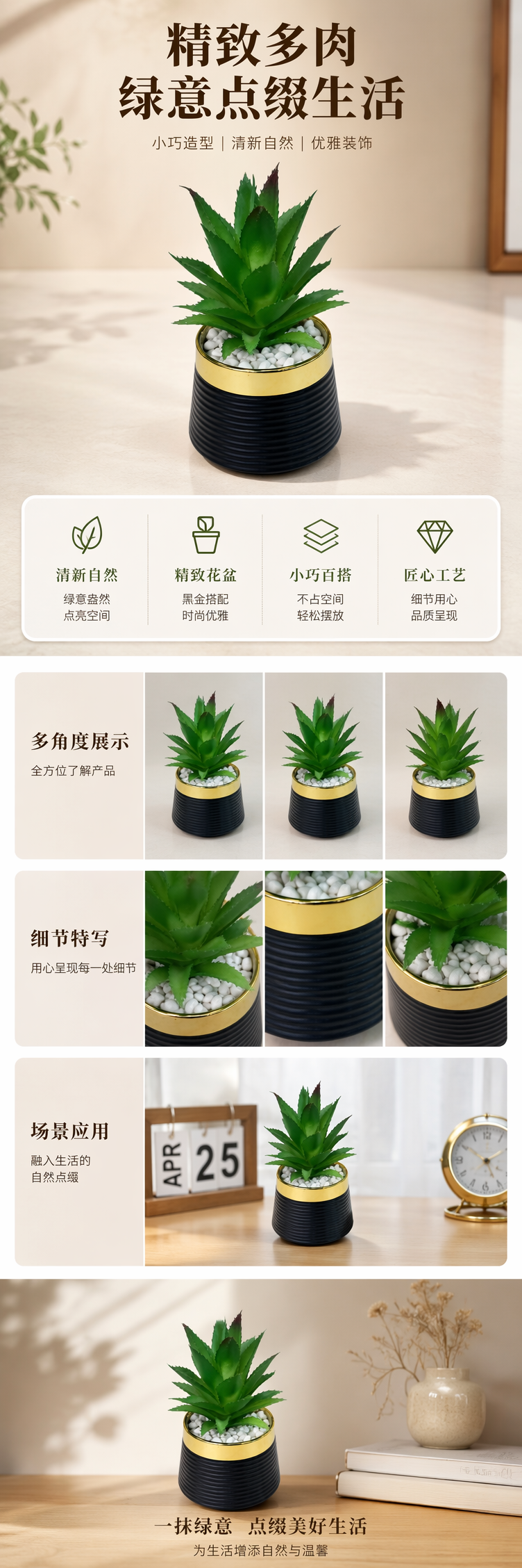 绿色多肉植物盆栽 室内小型观赏植物 易养耐旱绿植摆件详情1