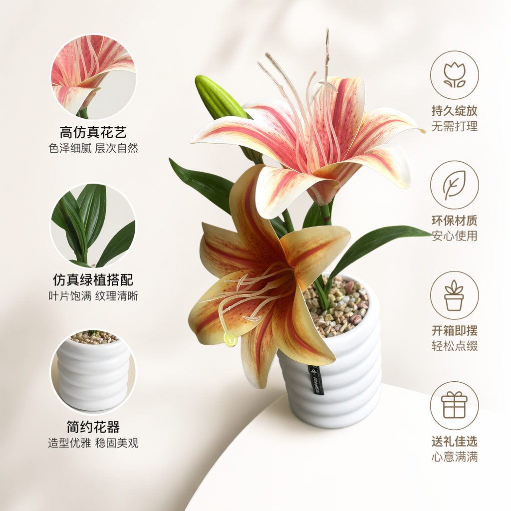 粉色条纹百合花盆栽 室内观叶植物阳台装饰花卉