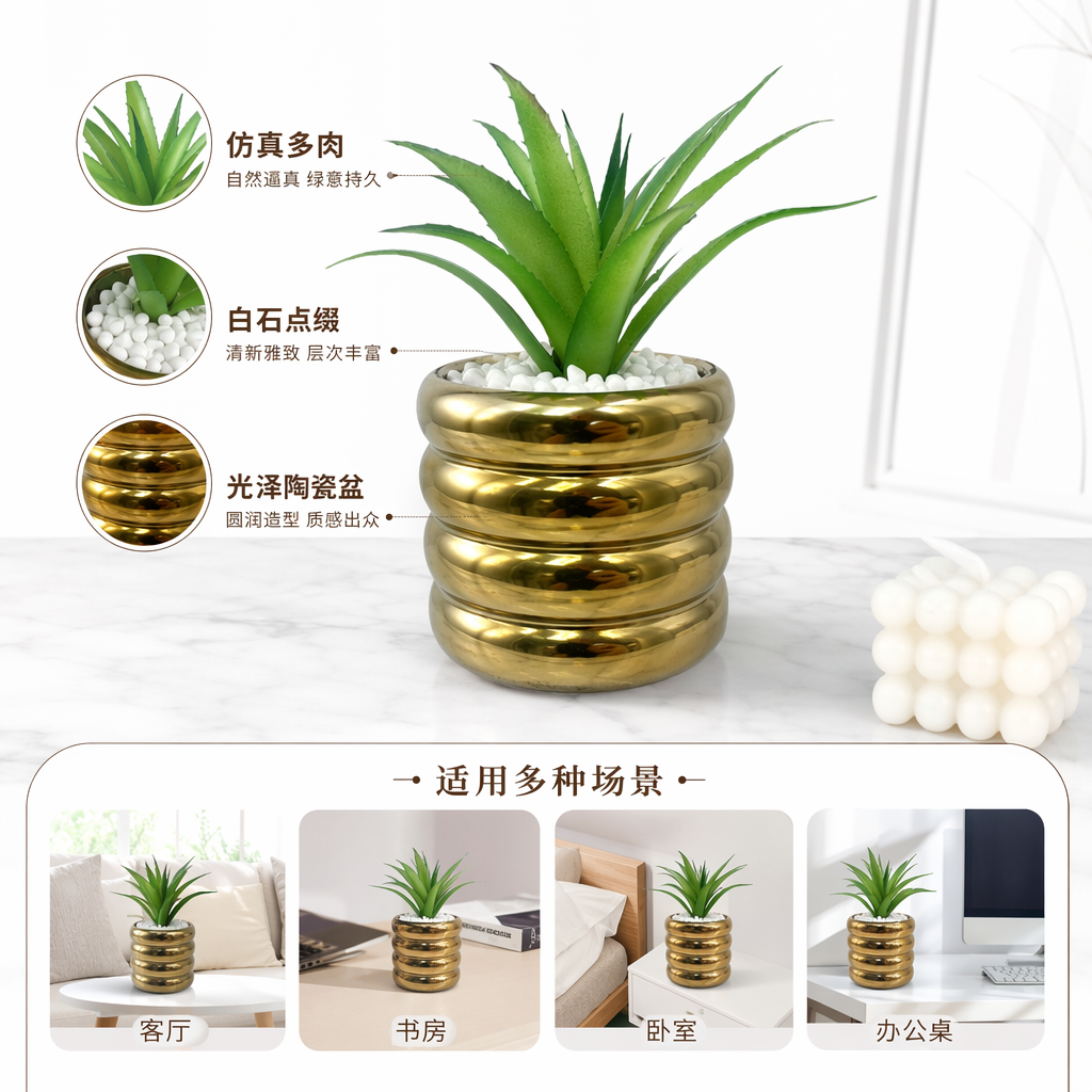 金色螺旋花盆配绿色多肉植物室内桌面装饰盆栽组合