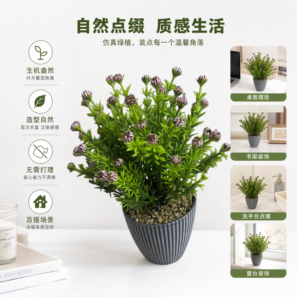 绿色盆栽植物紫白条纹花苞灰白条纹花盆