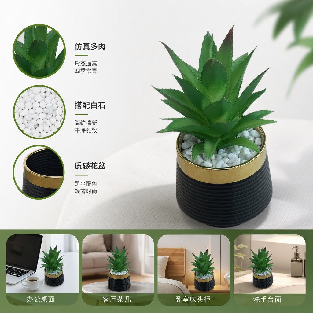 绿色多肉植物盆栽 室内小型观赏植物 易养耐旱绿植摆件
