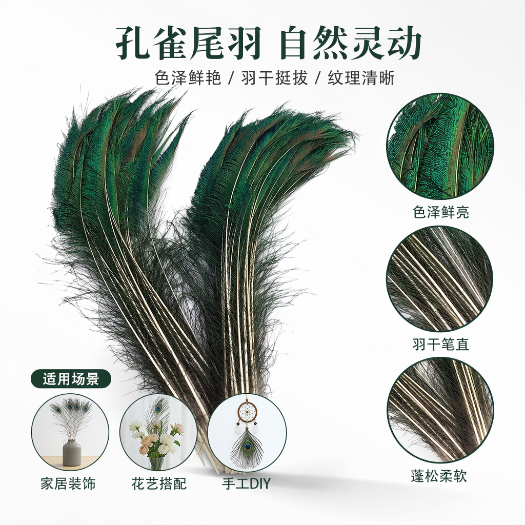 绿色孔雀羽毛装饰材料手工DIY天然羽饰工艺品