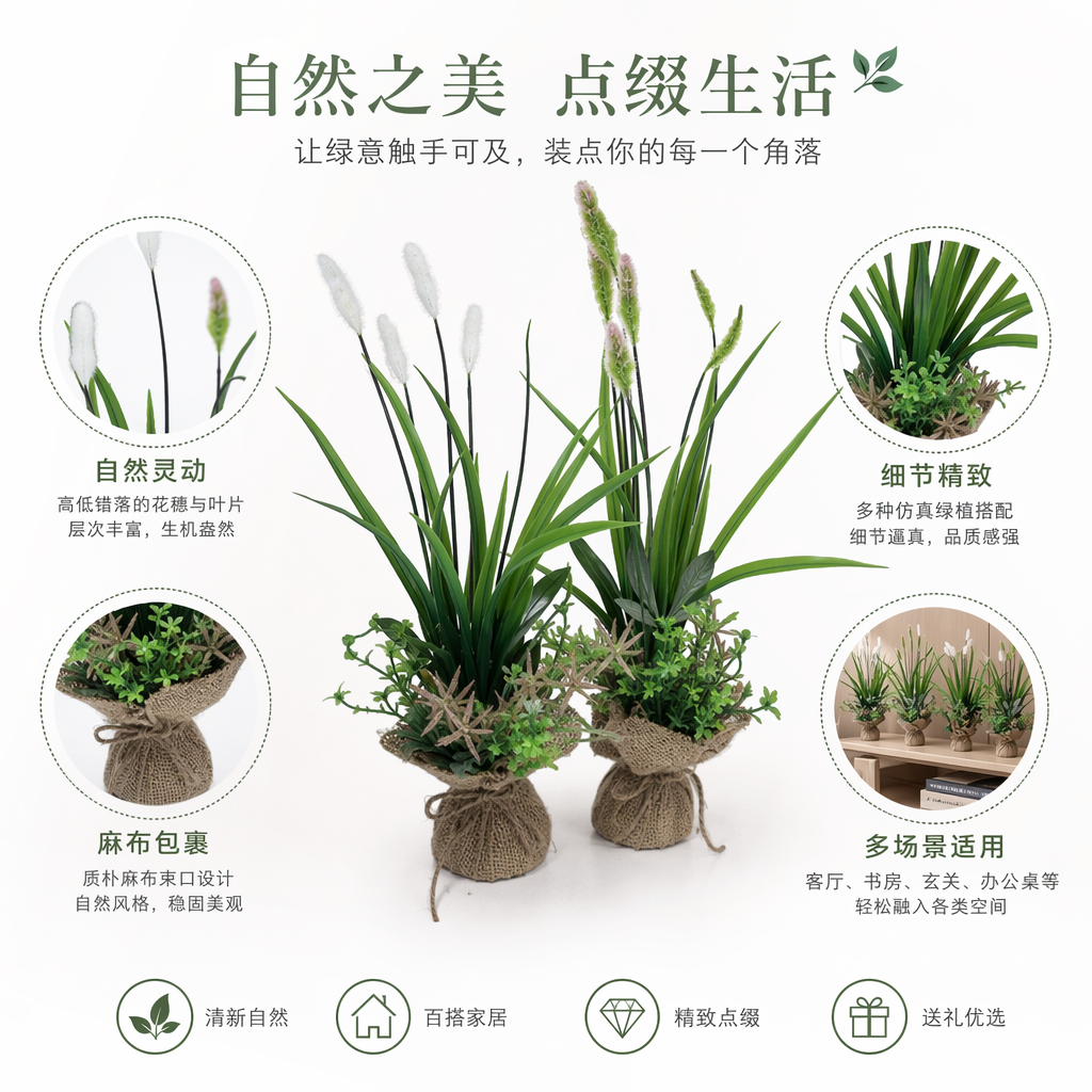 绿色植物盆栽室内绿植小盆栽多肉植物装饰摆件
