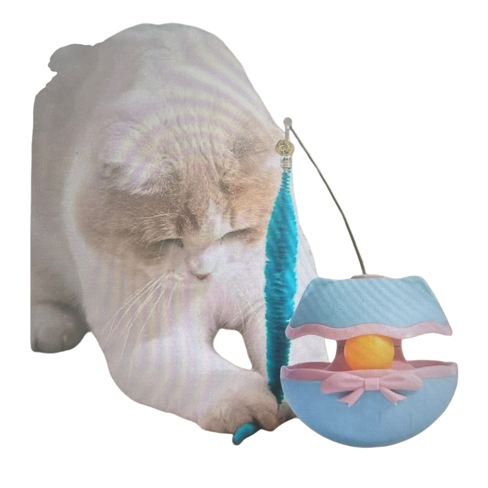 Blue and pink cat-specific automatic cat playball, untoppleable doll, intelligent rolling interactive pet toy Item Picture