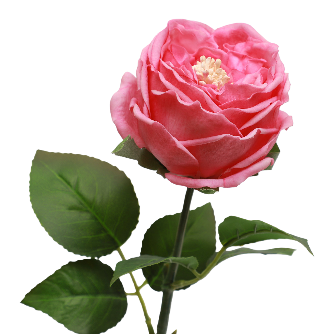 ان الورود الوردية تزيِّن اثاث غرفة النوم المنزلية Item Picture