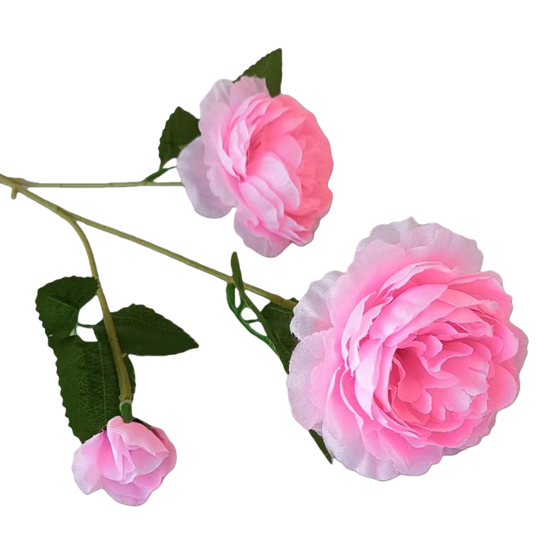 A set of 10 fresh cut pink rose branches for home flower arrangement decoration Item Picture