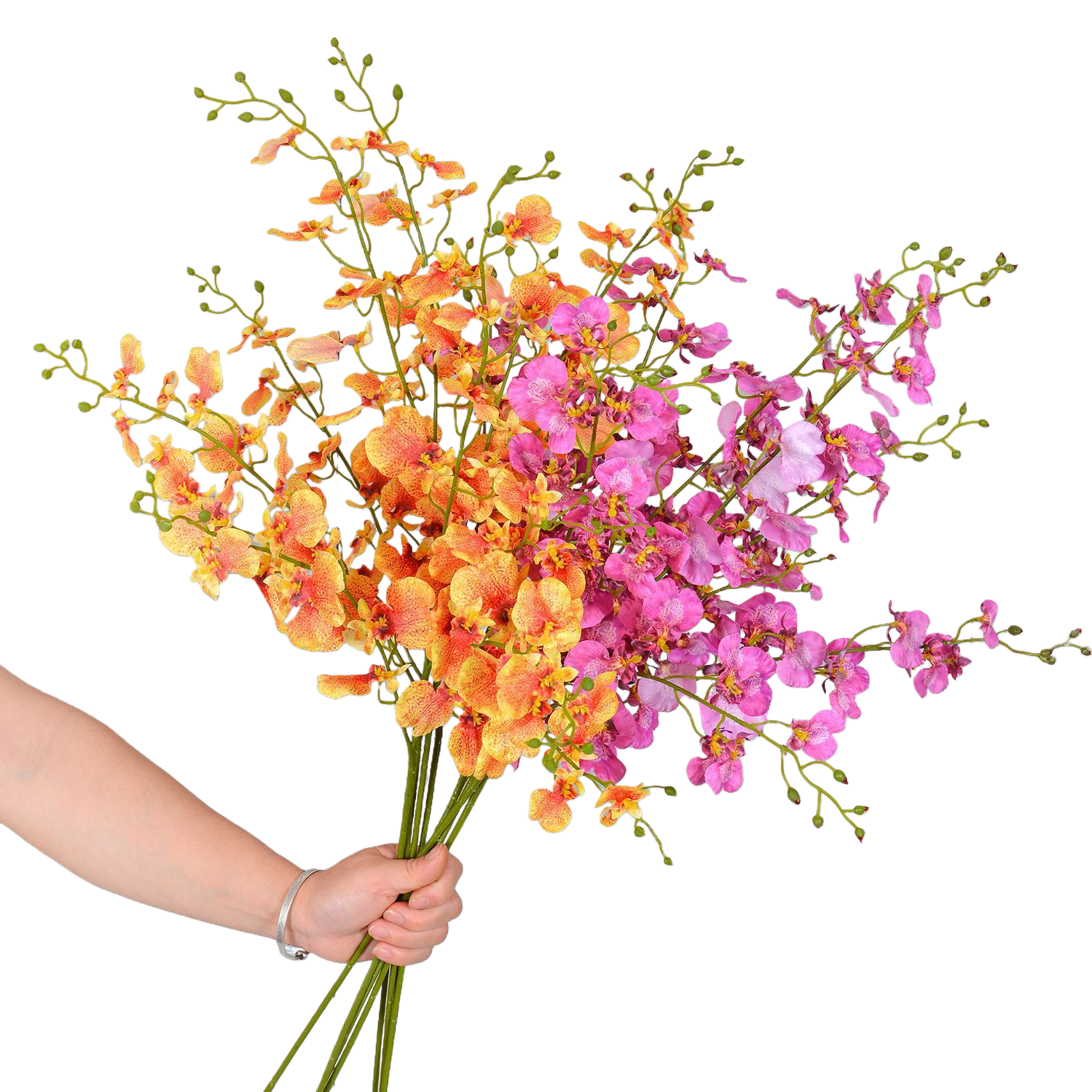 أزهار الاوركيد الملونة تُصنع من شرفة غرفة المعيشة Item Picture