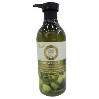 Safeguard Aloe Vera Moisturizing Body Wash 500ml Cleansing and Moisturizing Fragrance Body Cleansing details Picture