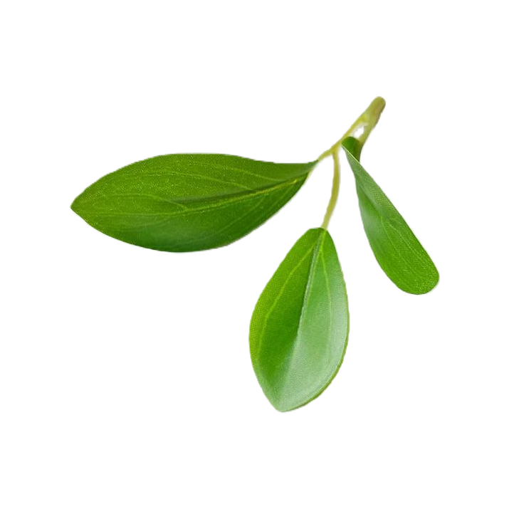 Green leaf and branch decorative ornaments, artificial plants for home green plant decoration Item Picture