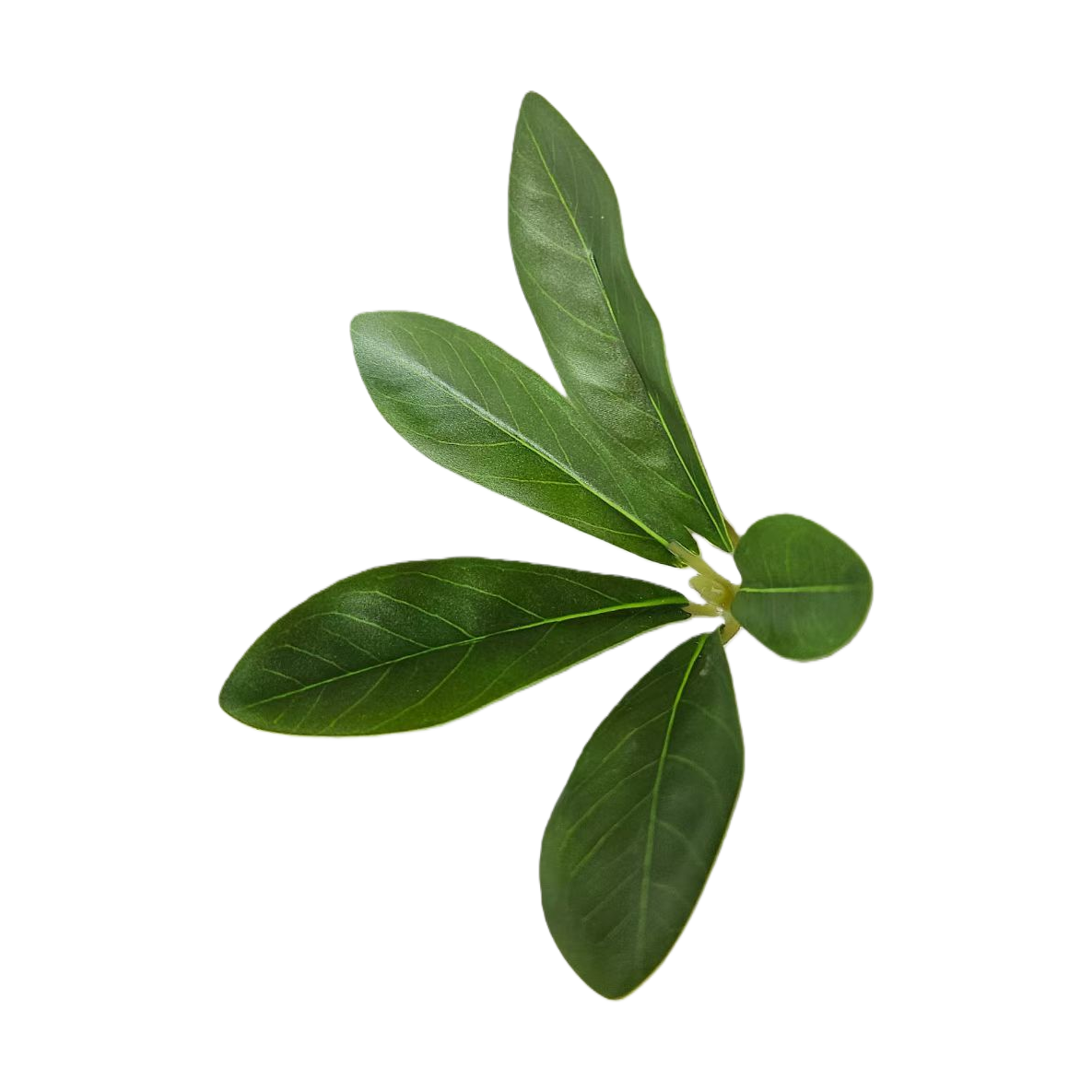Green leaf decorative painting, simple Nordic-style hanging painting for the living room, and bedroom wall decoration Item Picture