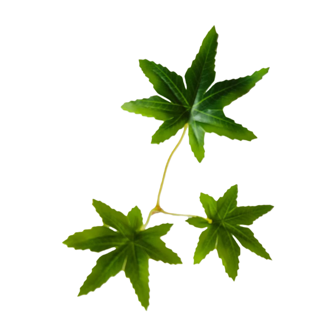 Green maple leaf branches, simulated decorative plants, home ornaments, natural wind-dried flower materials Item Picture