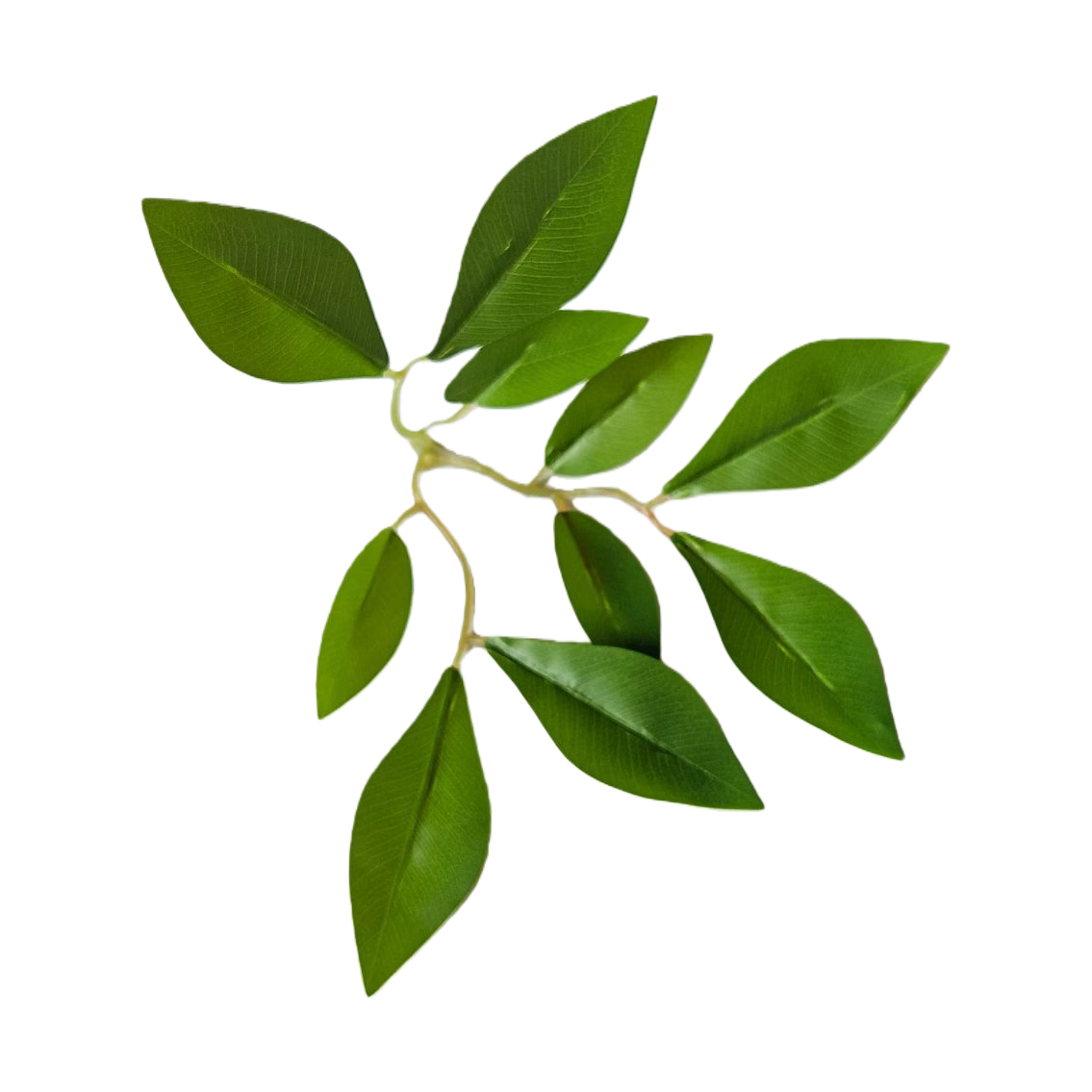 Green branch and leaf decorative paintings for home living room, bedroom and wall decoration in a simple Nordic style Item Picture