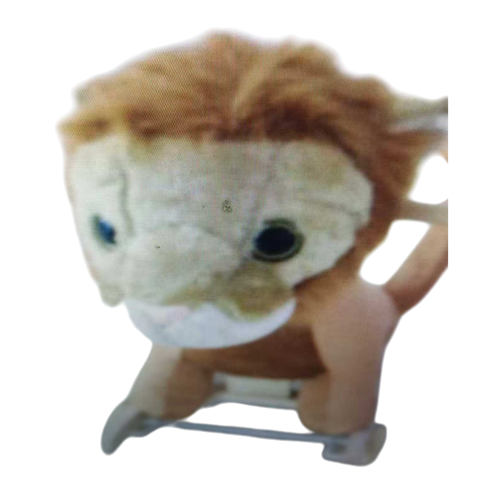 Brown fur dolls, cute plush toys, home decoration items Item Picture