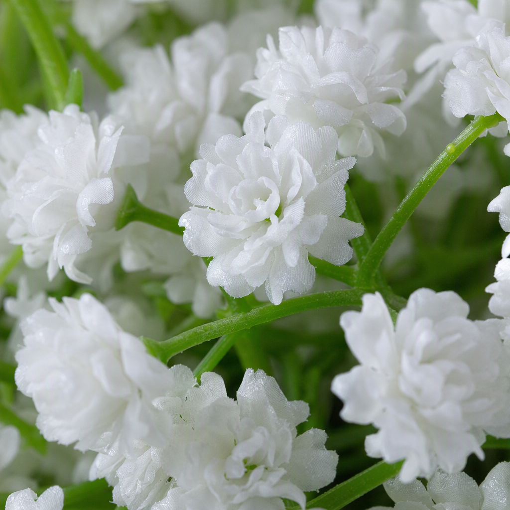 White asters flower bouquets, birthday gifts, wedding hand-held bouquets Application Scenario