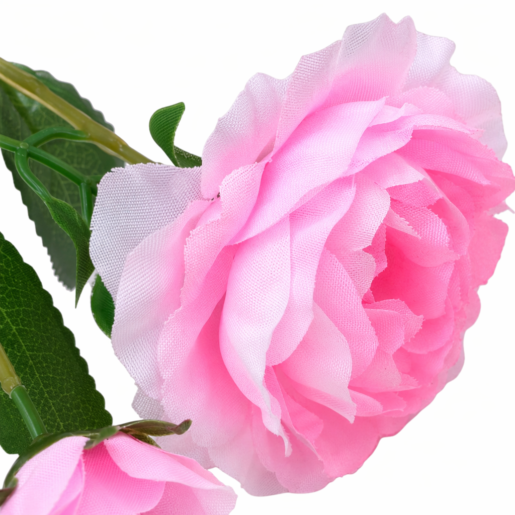 A set of 10 fresh cut pink rose branches for home flower arrangement decoration Application Scenario