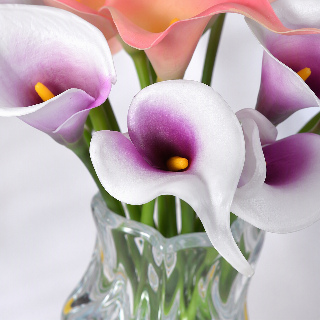 Colorful calla lily bouquets, birthday gifts, Valentine's Day carnations for delivery Application Scenario