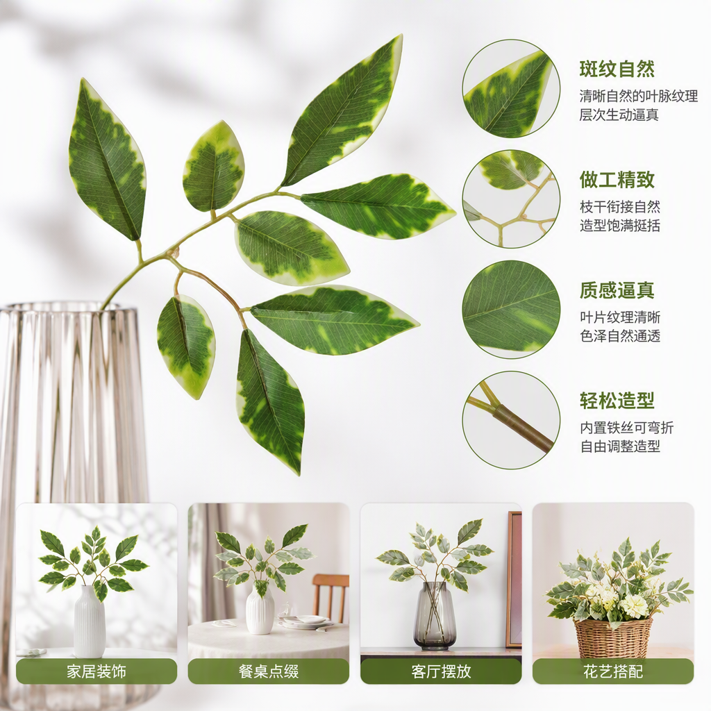 Green variegated leafy foliage plants, potted green plants for home decoration