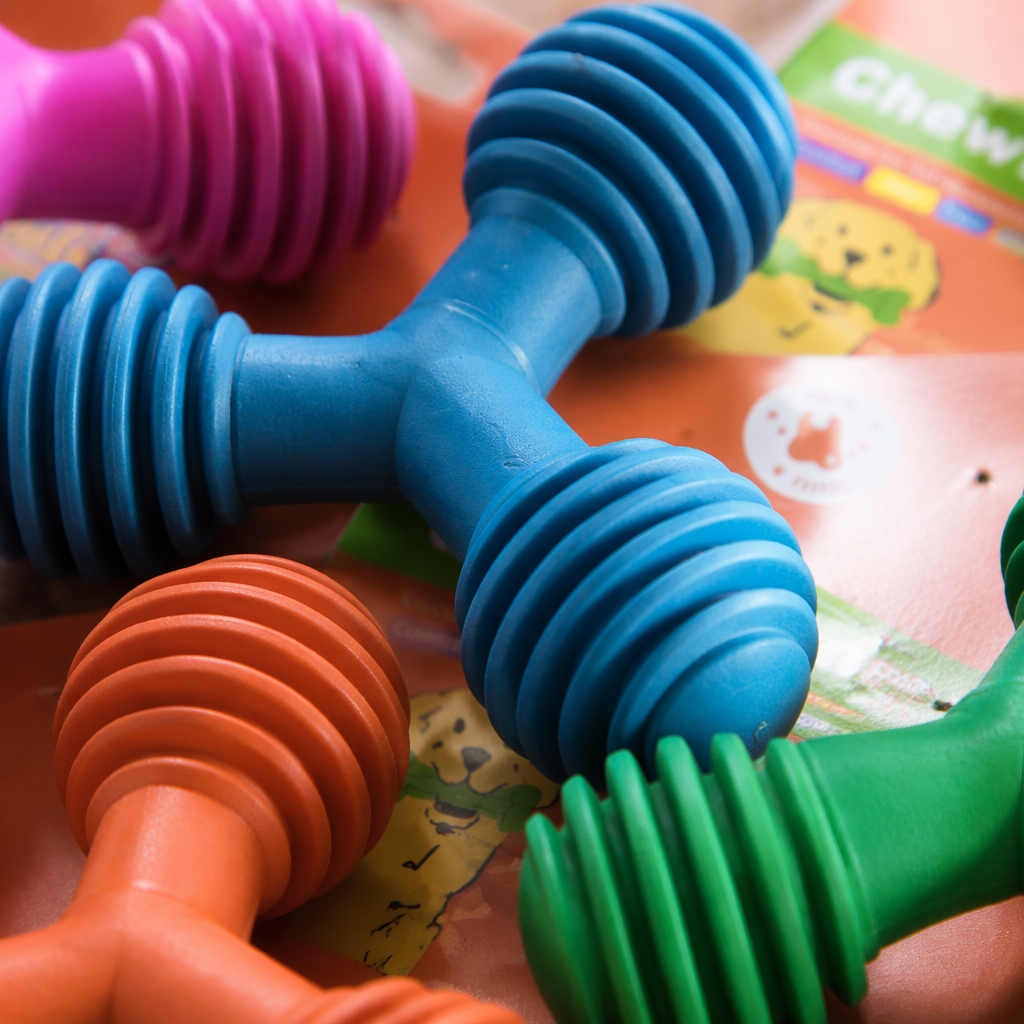 Colorful bone-shaped pet gnawing toys are safe and durable for dogs to grind and clean their teeth Application Scenario