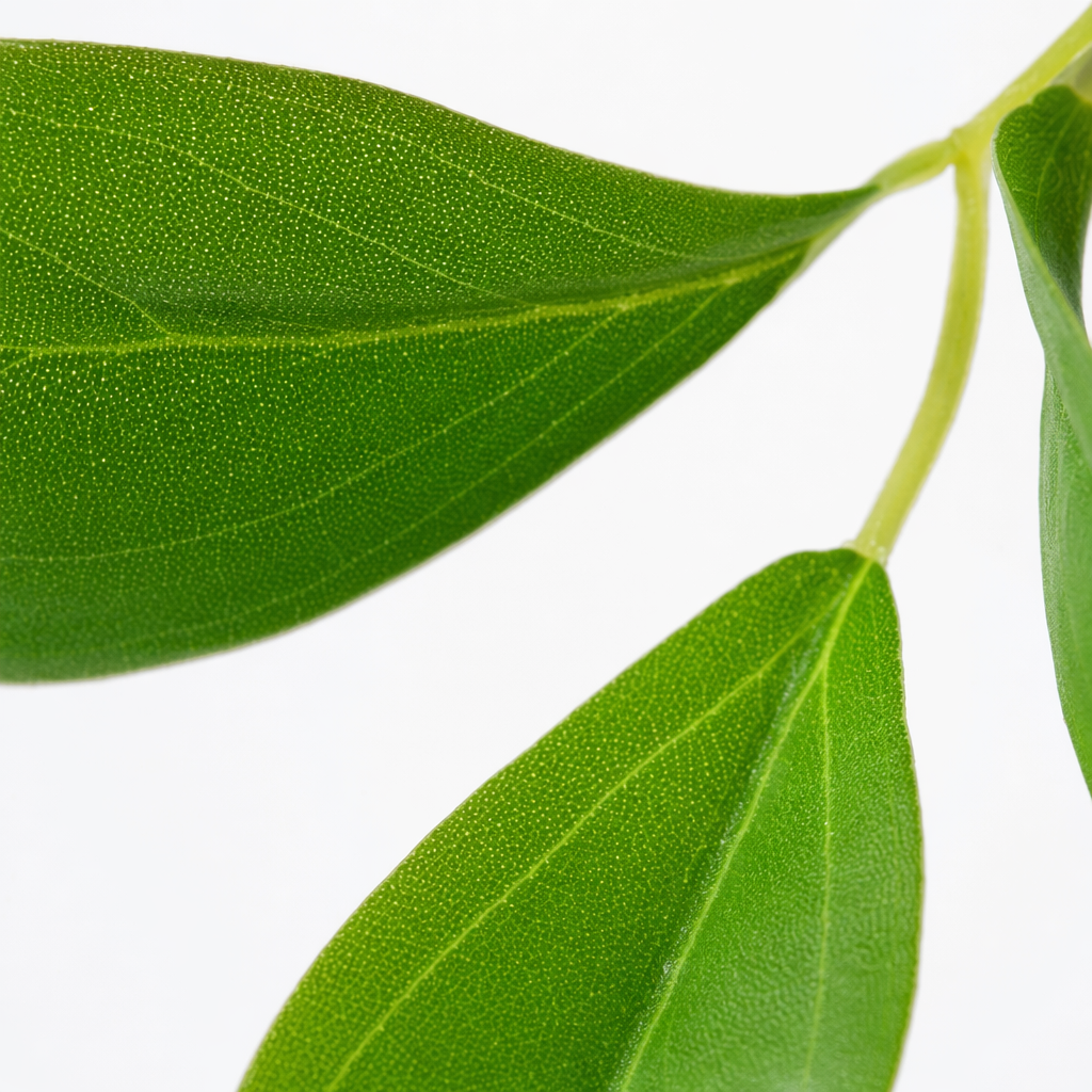 Green leaf and branch decorative ornaments, artificial plants for home green plant decoration Application Scenario