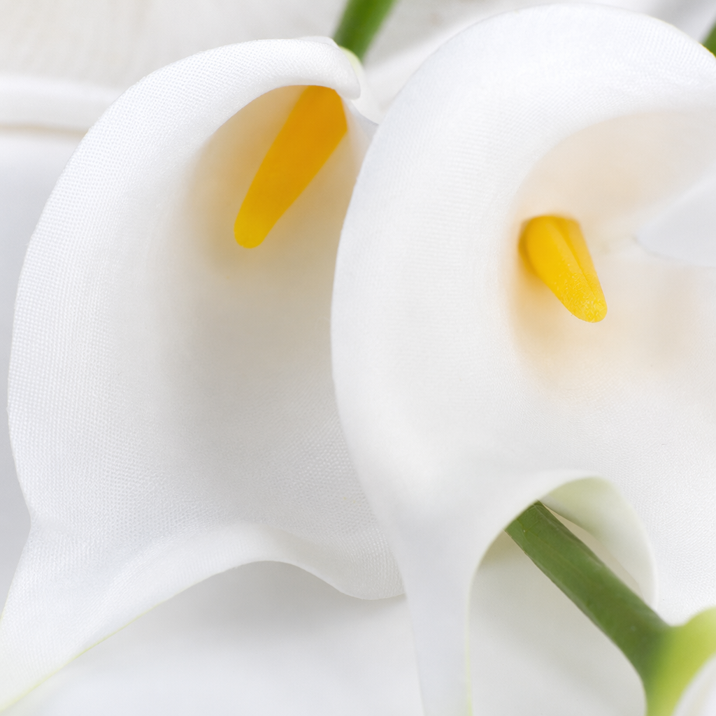 White calla lily bouquets are used as decorative items for the living room and bedroom Application Scenario