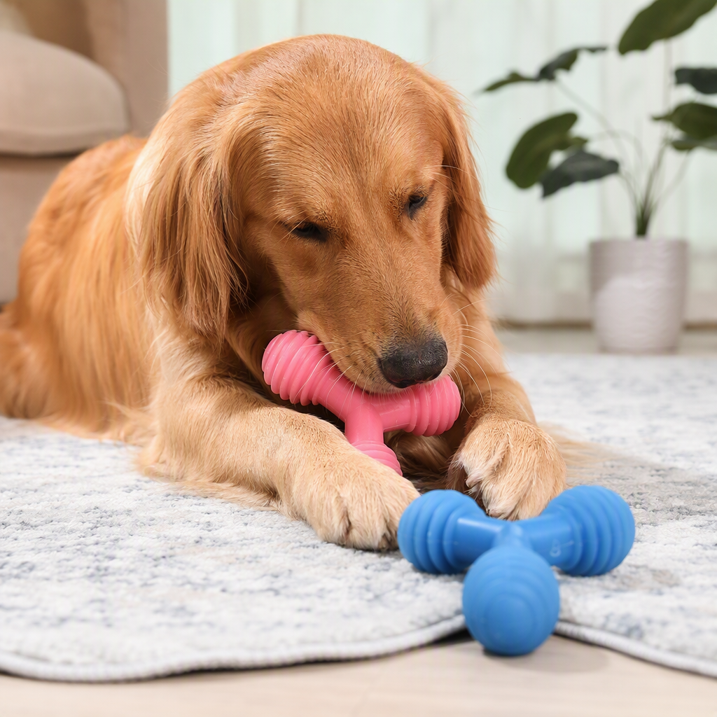 Pink and blue Y-shaped pet chewing toys, durable and wear-resistant pet training chewing toys, pet supplies details Picture