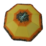 雨伞实物图