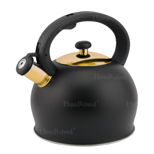 Hr781-1haus Roland3L stainless steel sounding kettle, large-capacity boiling kettle, gas induction cooker, universal household kitchen boiling kettle Item Picture