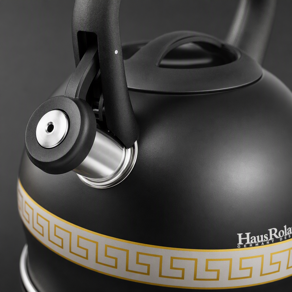 HR730-9HausRoland3L acero inoxidable zumbido kettle caldera de alta capacidad caldera de inducción de gas hervidor de cocina de uso general home kitchen kettle Item Picture