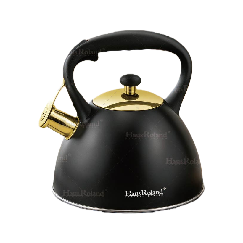HausRoland3L acero inoxidable tintun hervidor de agua caliente hervidor de gran capacidad hervidor de inducción de gas hervidor de inducción de uso general home kitchen kettle HR739-13