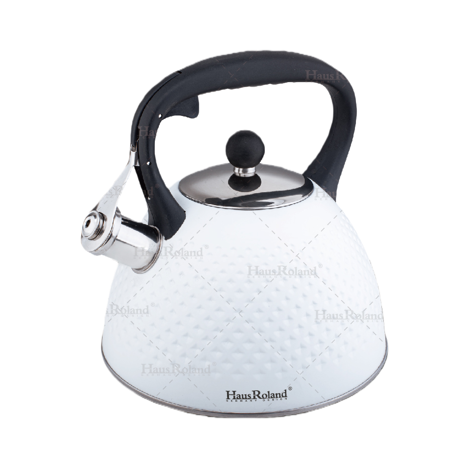 HausRoland3L stainless steel sounding kettle, large-capacity boiling kettle, gas induction cooker, universal household kitchen boiling kettle HR759-3