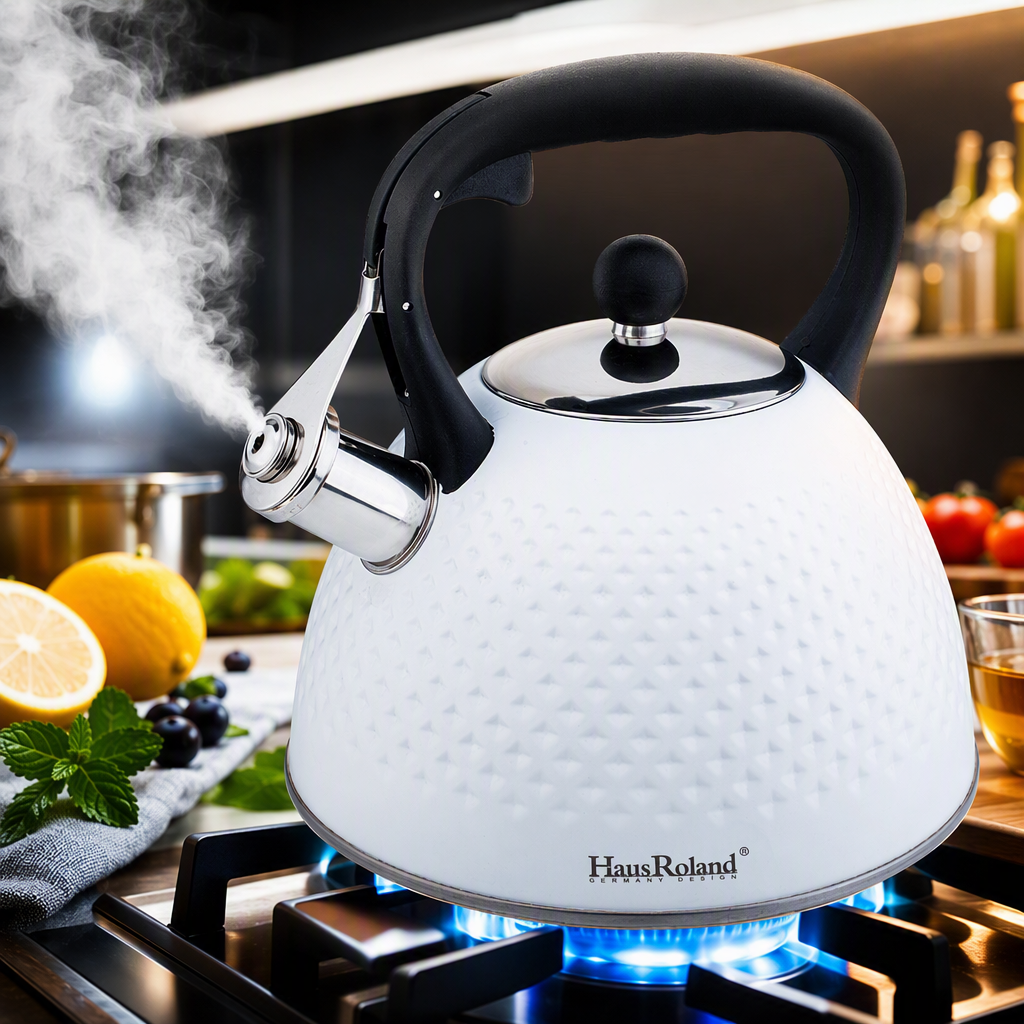 HausRoland3L stainless steel sounding kettle, large-capacity boiling kettle, gas induction cooker, universal household kitchen boiling kettle HR759-3 Specification image
