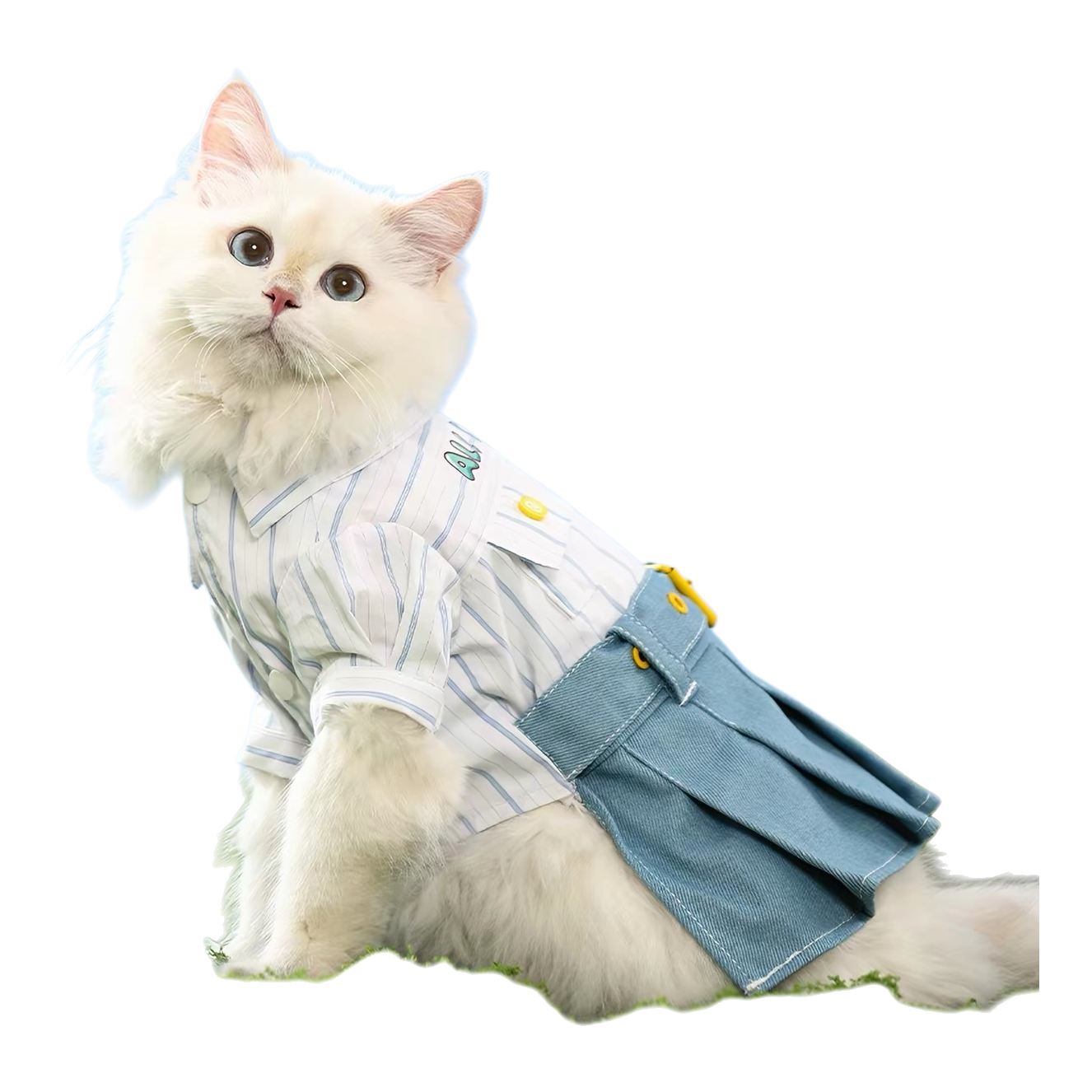 A cute long-haired cat wearing a striped shirt and a blue pleated skirt is sitting on the green grass for a casual and adorable pet photo shoot Item Picture