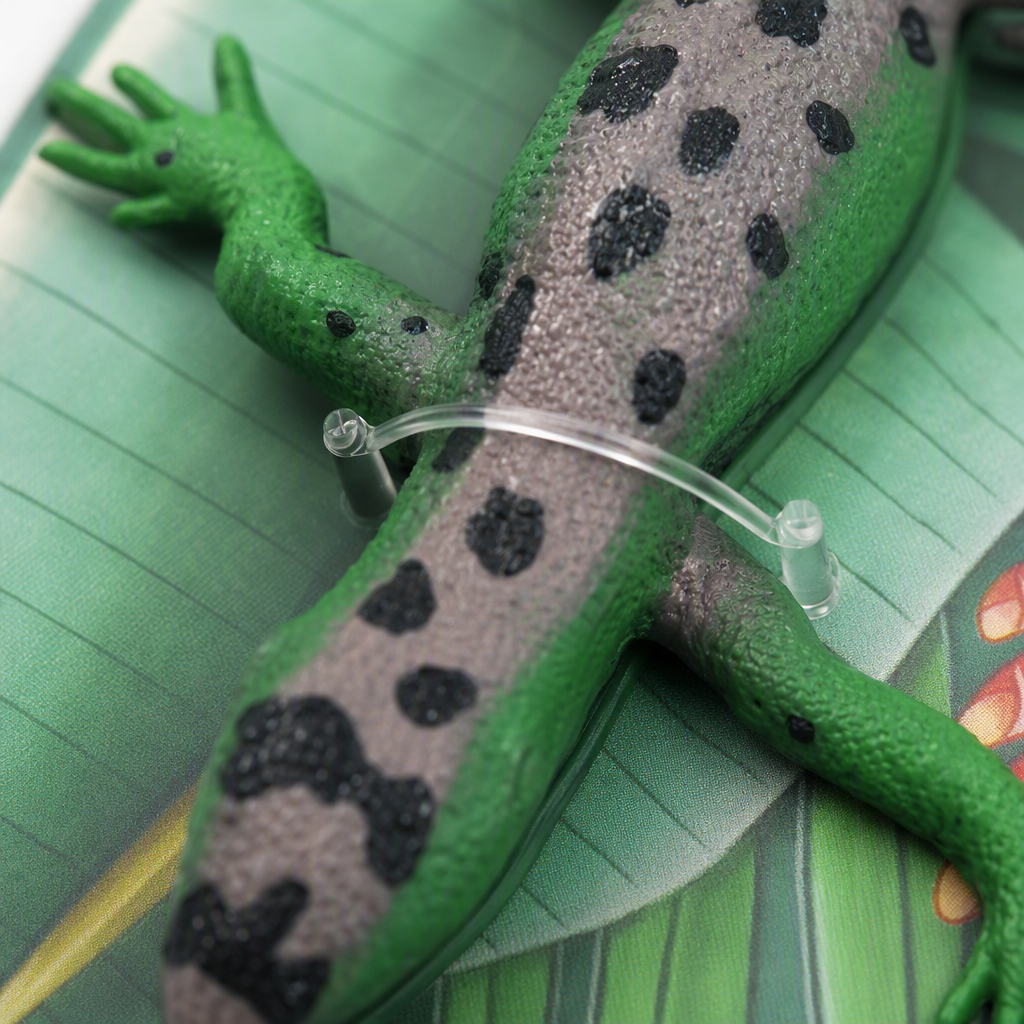 Juguete de lagarto de dragón simulaciones de niños modelos de reptiles juguetes de parodia de enganchador cognición temprana objetos de animales tienda de tierra juguetes de regalo de mano Specification image