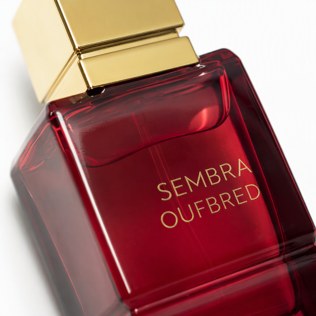 Fashionable red perfume bottle, exquisite packaging box, high-end gift box, gift decoration and creative design Application Scenario