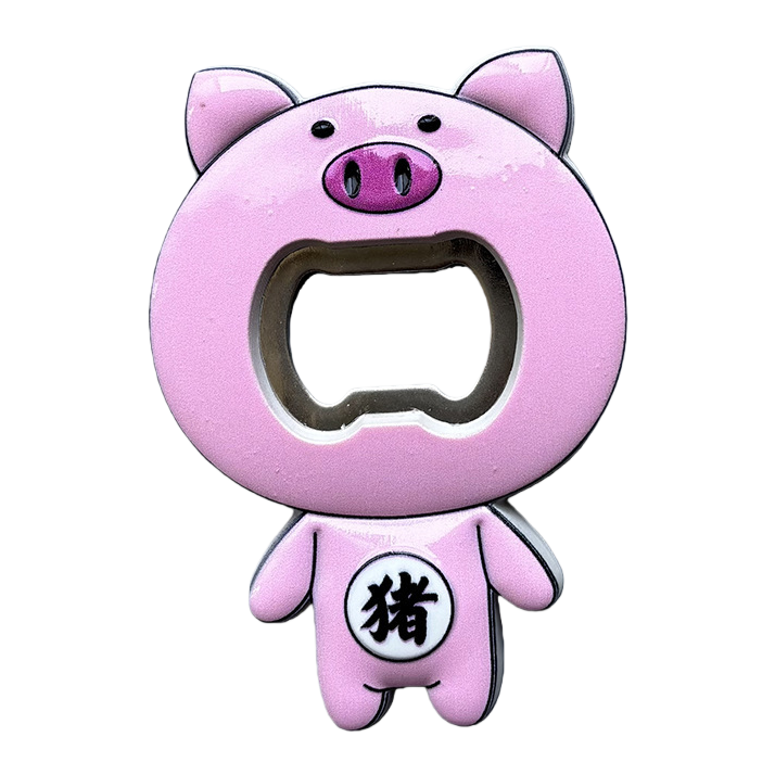 冰箱贴实物图