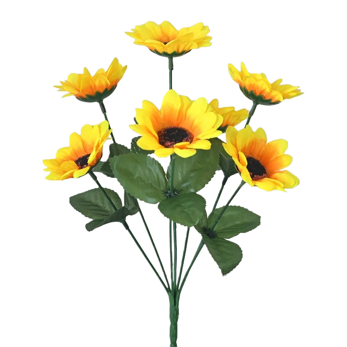 Colorful fresh cut flowers, potted green plants, pet-friendly indoor decoration, floral and gardening supplies Item Picture