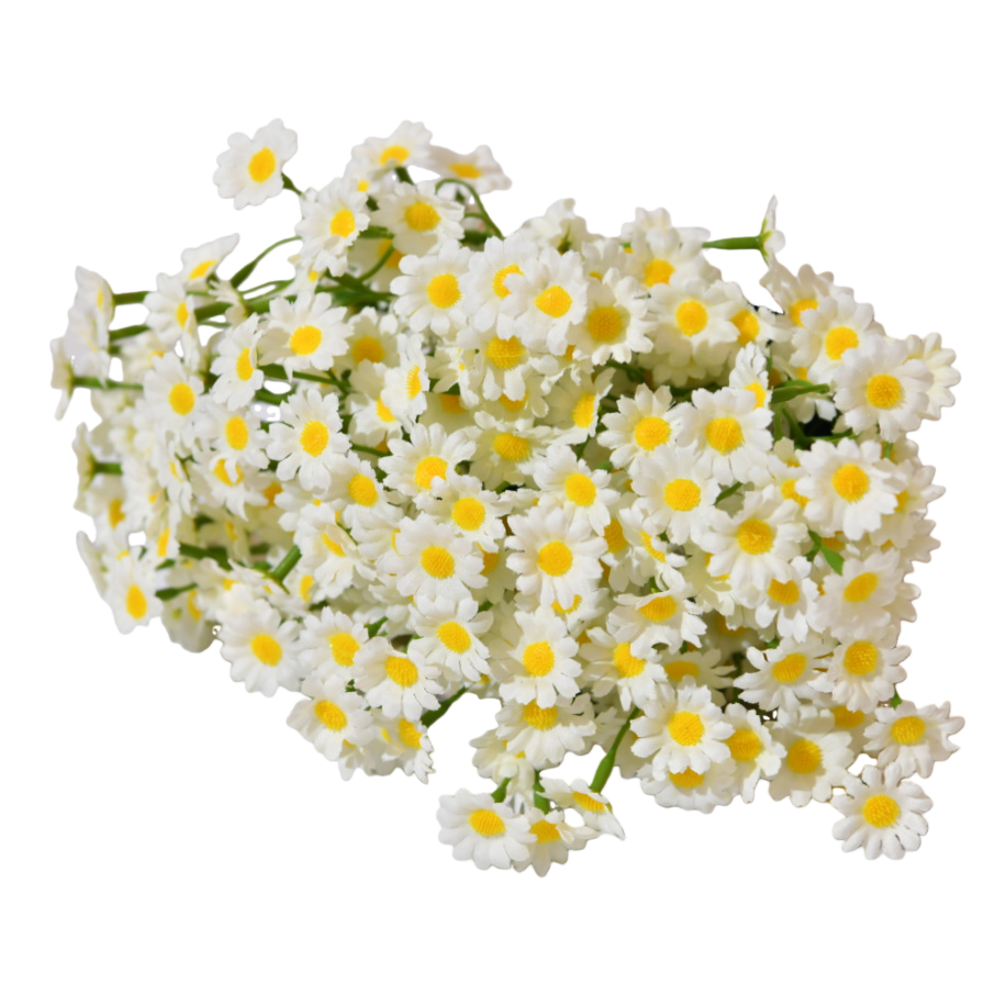 Colorful fresh-cut flower potted plants can decorate the indoor and outdoor Spaces of the home, beautify pets, garden flowers and green plants Item Picture