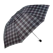 雨伞实物图