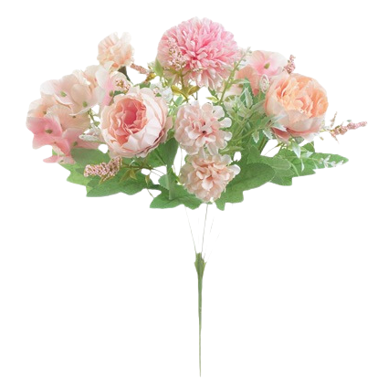 Multicolored rose and rose flower potted plants, home garden ornamental plants, green plant seedlings Item Picture