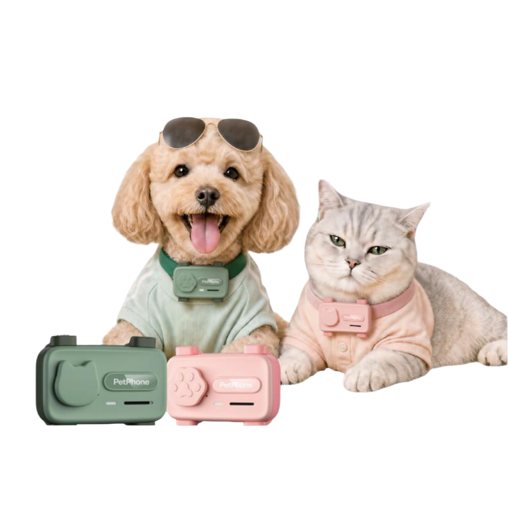 Pet-are party () — компьютерная игра, создаваемая компанией pet, предназначенная для общения с детьми Specification image