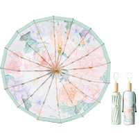 This multi-functional windproof, sunshade and umbrella is lightweight, durable and suitable for both sunny and rainy days. It is a fashionable and portable model Application Scenario