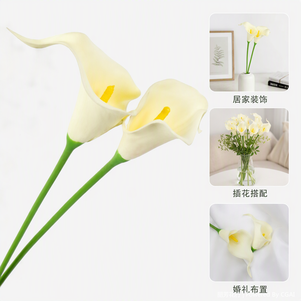 奶白色黄芯马蹄莲观赏盆栽鲜花绿植室内阳台庭院绿化植物
