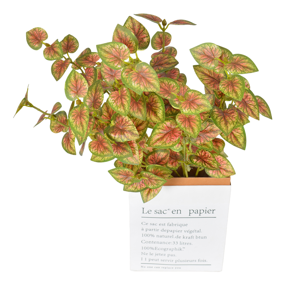 Succulent plant potted indoor green plants, mini bonsai, succulent combination care, simple decoration potted plants