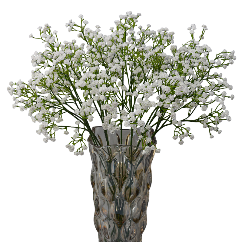 Colorful fresh cut flowers, potted plants, flower arrangements, indoor pet-friendly flowers, green plants, and gardening supplies Item Picture